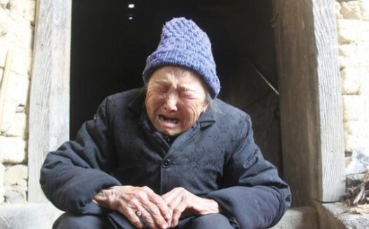 养了两年的土狗丢失,患病主人苦找55天,悬赏千元寻狗