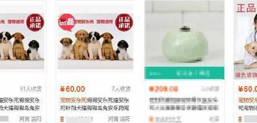 狗安乐死后悔了 | 淘宝卖劣质“宠物安乐死”?狗狗难得善终,主人后悔不已