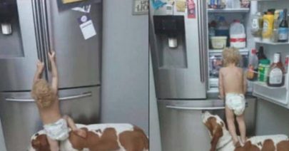 小主人去电冰箱翻东西,拉来狗狗当绊脚石,两脚才站在不幸发生了