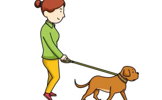 【世界狂犬病日】“撸猫撸狗”也要讲安全