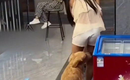 狗子看上美女顾客竟抱着大腿欲强上屁股不停抖动
