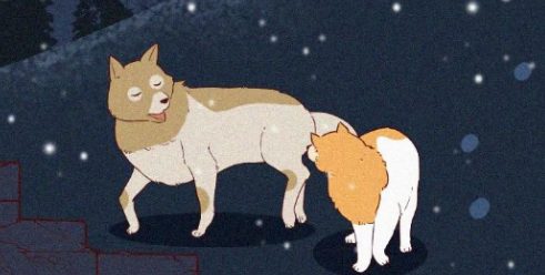 中国人,你凭什么看不起中国土狗?