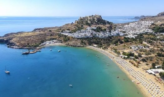 狗狗想喝奶茶，遭拒后竟然报复，奶茶秒变菊花茶