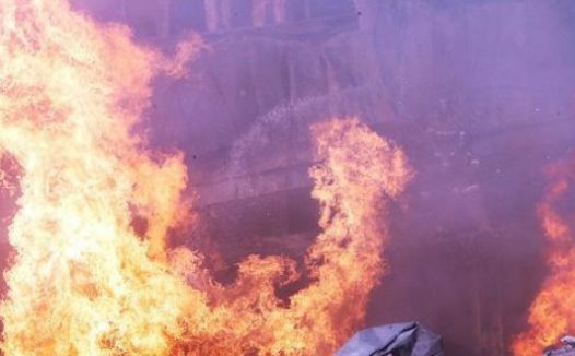 突发火灾夺去9只爱犬生命,主人含泪发文提醒,用电安全很重要