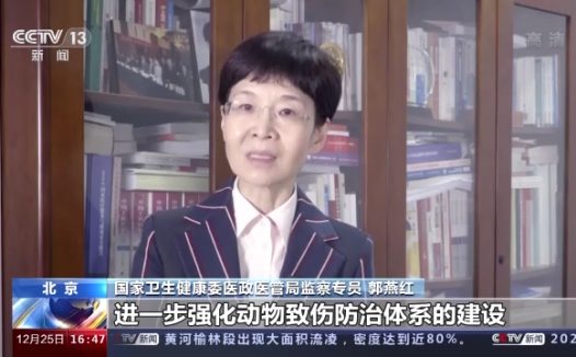 我国每年4千万人被猫狗咬伤，如何防治避免狂犬病？专家回应