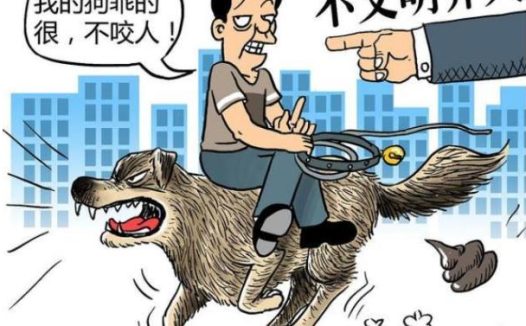 遭恶犬咬死老人家属已和狗主和解,恶犬伤人必须下狠手治理!