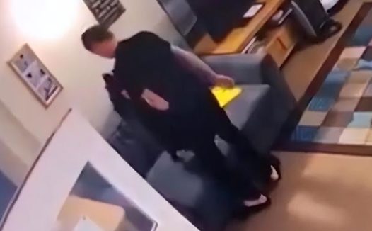 1年前它被前主人虐待，1年后新主人培养它成为警犬