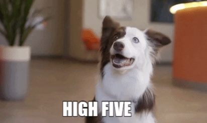 狗为什么总爱对着空地叫！？