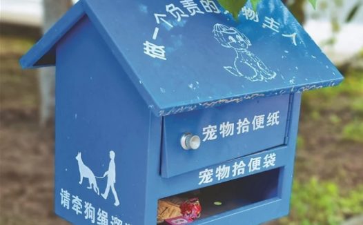 犬类伤人事件多发，市民建议：遛犬不戴嘴套要受处罚