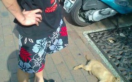 自己的狗就能够随便打？台湾男子徒手虐死幼犬！