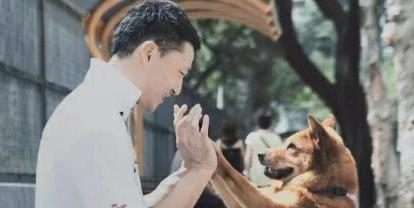 17岁老狗等到主人回家,才咽下最后一口气