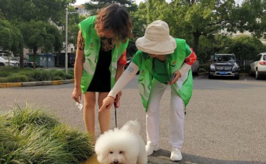 文明城区长效管理|倡导文明养犬,志愿者在行动