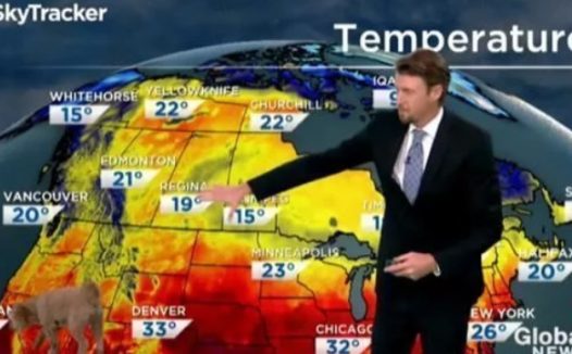 加拿大天气预报员正在现场报道,未曾想宠物狗冲入镜头找零食