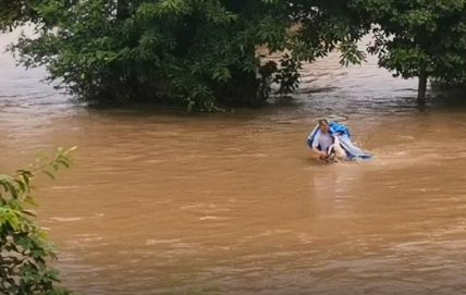 暴雨倾盆狗窝被淹,勇敢狗妈妈跳入洪水中救小奶狗,还惊动了民警