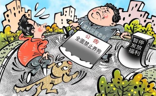 社区禁止养狗引质疑_漫·议|社区全面禁犬,为何不得人心?