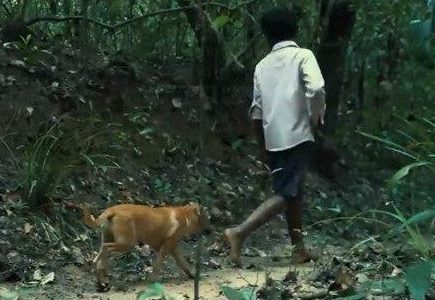 小男孩带狗狗上山，狗狗忽然被蟒蛇缠住，小男孩的做法令人佩服