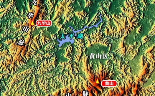疫情当下，这个“傻”大姐，用十余载守护一方猫狗！