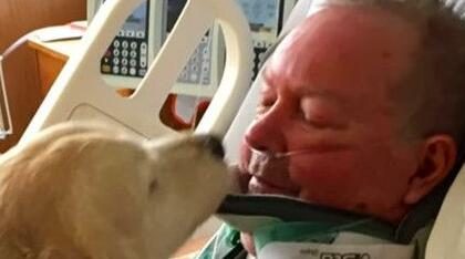 主人受伤瘫痪雪地中 忠犬用身体帮取暖20个小时