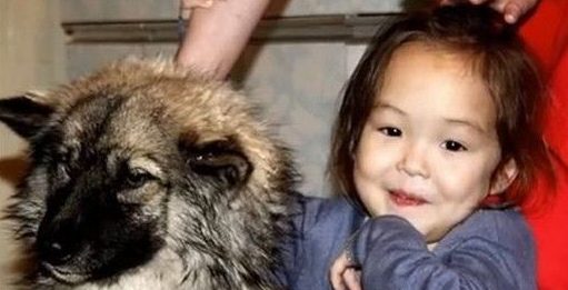 4岁女孩荒野走失 与狗相伴12天奇迹获救