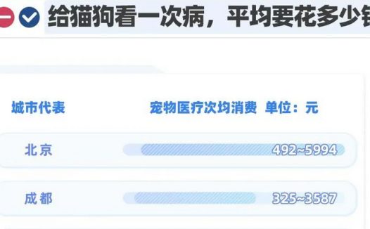 猫狗看病动辄花几千元,宠物医疗为何如此昂贵