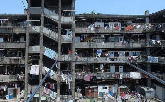 聪明的狗狗被邻居们选为“楼长”,关键时刻的举动救了主人的命