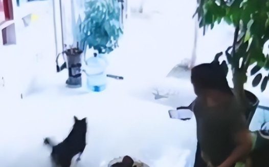 吓坏小孩，养狗人不牵绳引发公愤，孩子被吓坏了