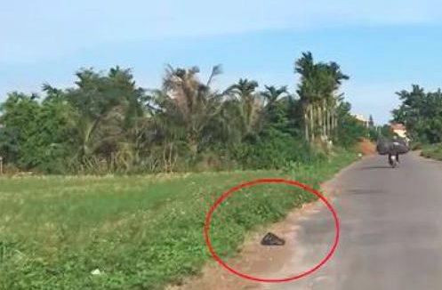 摩托主帅两只小狗放入塑料袋里，还加上了死结，中途将他们丢弃