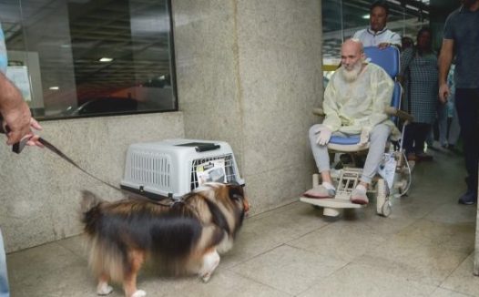 得癌主人总算与爱狗再聚首,高兴得抱狗痛哭流涕,病况竟刚开始转好了