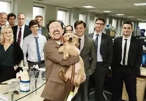 一个有趣的节日“带狗上班日”,作为一只警犬,它也带了宠物来!