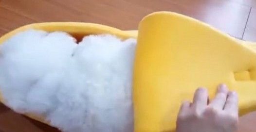 超萌的比熊犬爬进大香蕉休息 网友错认为是棉花