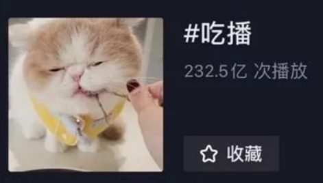 狗吃牛排、猫吃龙虾千万关注的宠物吃播是什么生意