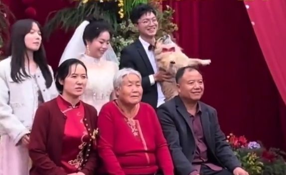 婚礼仪式结束后拍全家福，狗狗主动上台找位置加入